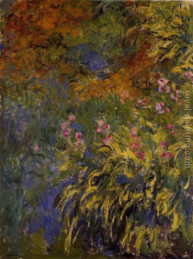 Claude Oscar Monet : Irises